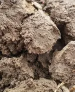 20190428_183618.webp