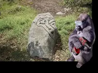 GorillaCarver.webp