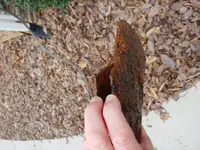20190303_102112.webp