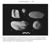 king site 4.webp