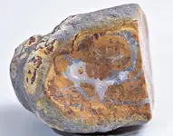 possible agate from collection.webp