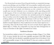 king site 13.webp