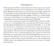 king site 19.webp