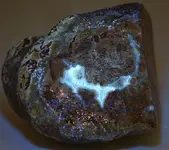 possible agate from collection3.webp