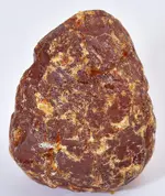 amber maybe.webp