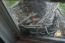 DSCN9746.webp