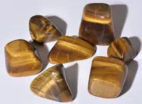 tigers eye.webp tigers eye.webp