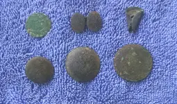 Button Fronts.webp