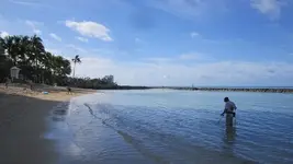 Hawaii 2019 #2.webp