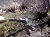 100_0339.webp