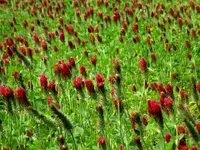 DSCN2591.webp