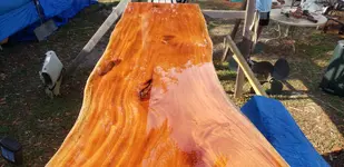 20190426_174331.webp