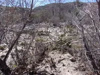 100_0340.webp