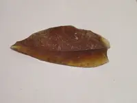 99glass out wet.webp