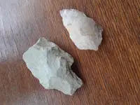 20190405_102919.webp
