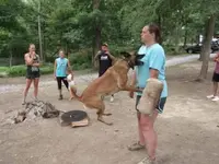 NcQdo8dl_2019620064926.webp