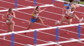 9o5xSM3s_2019620064920.gif