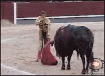 zDzpOH8l_2019619164523.gif