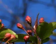 K1600_DSCN4412.webp