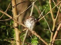 K1600_DSCN4416.webp