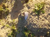 20190327_184547.webp