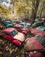 AMYX5PsW_2019608042319.webp