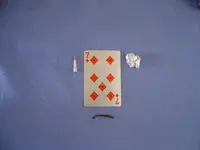 S5303849.webp