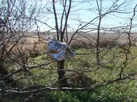 DSC09126.webp