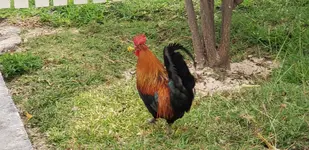 20190327_073927.webp