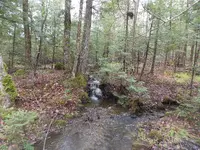 DSCN0664.webp