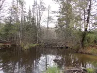 DSCN0667.webp
