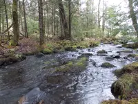 DSCN0673.webp