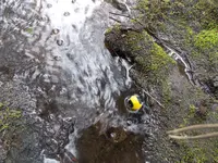 DSCN0679.webp