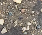20190319_154842.webp