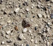 20190320_061330.webp