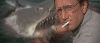 d685fd2bdd6873437804900d088ffd32.gif