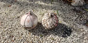 20190405_101038.webp