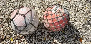 20190405_101101.webp