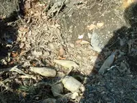 DSCF0012.webp DSCF0012.webp