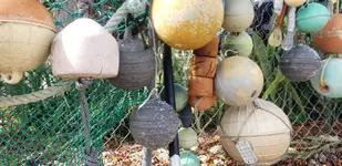 20190405_101207.webp