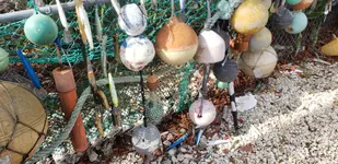 20190405_101232.webp