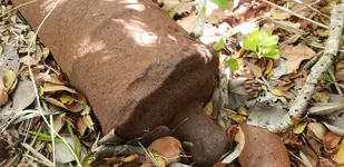 20190328_160254.webp