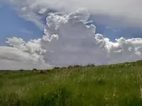 walk 051819 1.webp