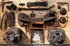 4-20-2019 finds.webp