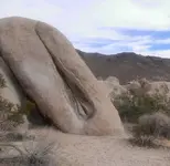 desert-vag-585beeca3df78ce2c31da83e.webp