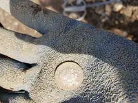 20190414_095815.webp