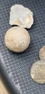20190510_123504.webp