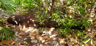 20190328_160005.webp