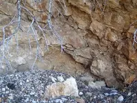 P4190015.webp P4190015.webp