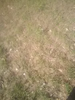 IMG_20190420_160959.webp
